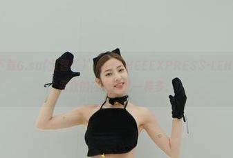 HOWTO：下载G.su(全智秀)’sLEEHEEEXPRESS-LEHF图包，画风跟我的内心挣扎一样多。